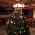 Steinerhof Отель
