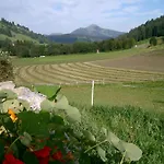 Отель Steinerhof