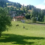 Steinerhof *