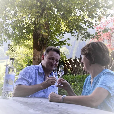 Steinerhof Hotel Oberau