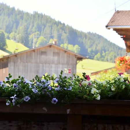Hotel Steinerhof