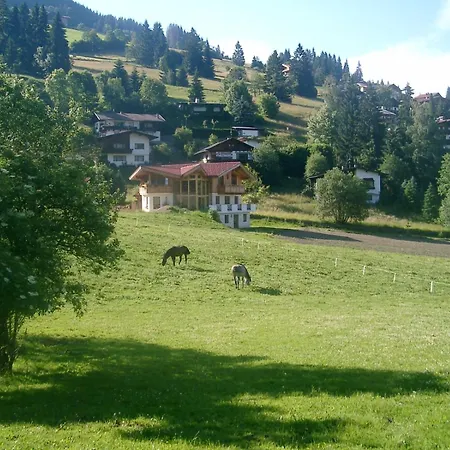 Steinerhof *