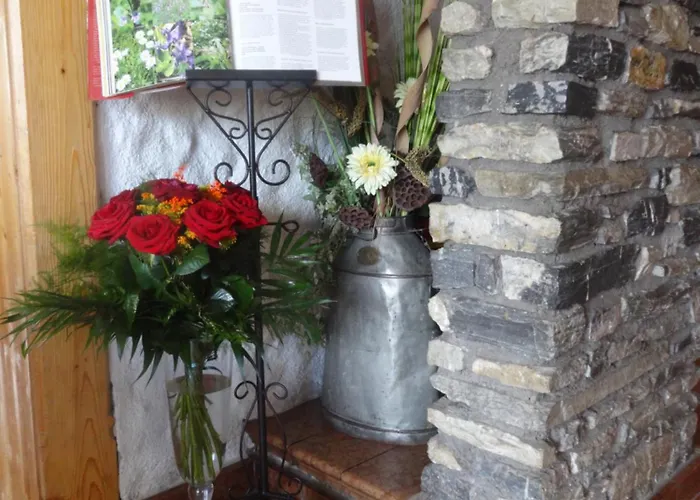 Ξενοδοχείο Steinerhof *