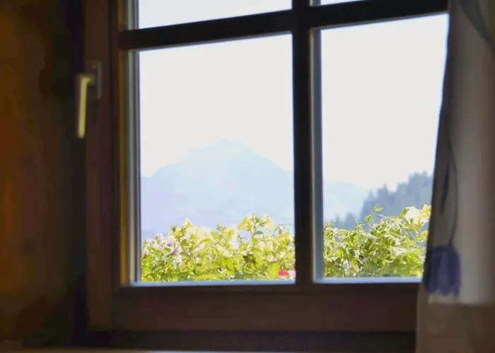 Ξενοδοχείο Steinerhof Oberau