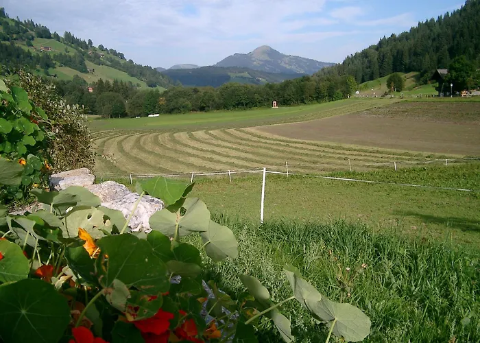 Ξενοδοχείο Steinerhof