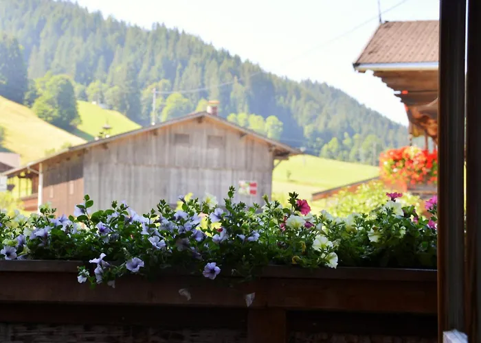 Ξενοδοχείο Steinerhof