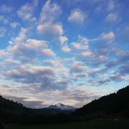 Steinerhof *